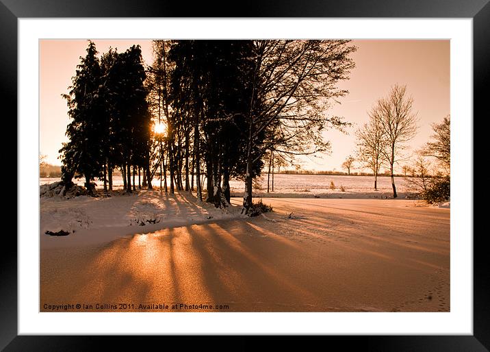 Winters Shadows Framed Mounted Print by Ian Collins