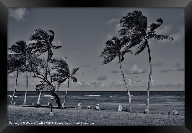 swoosh Framed Print by Wayne Baillie