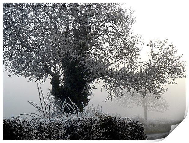 Foggy Morning Print by Trevor Kersley RIP