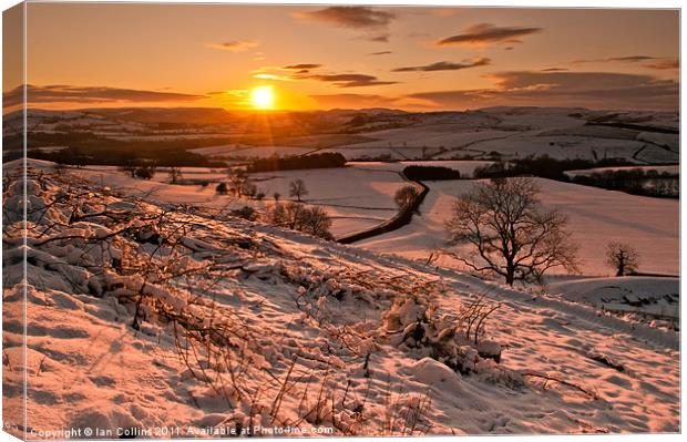 The Winter Sunset Canvas Print by Ian Collins