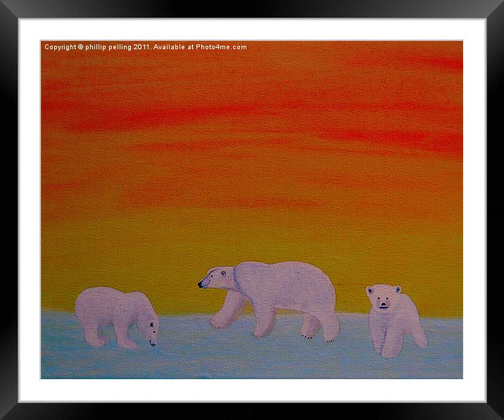 Polar Bears at sunset. Framed Mounted Print by camera man