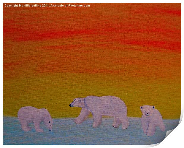 Polar Bears at sunset. Print by camera man