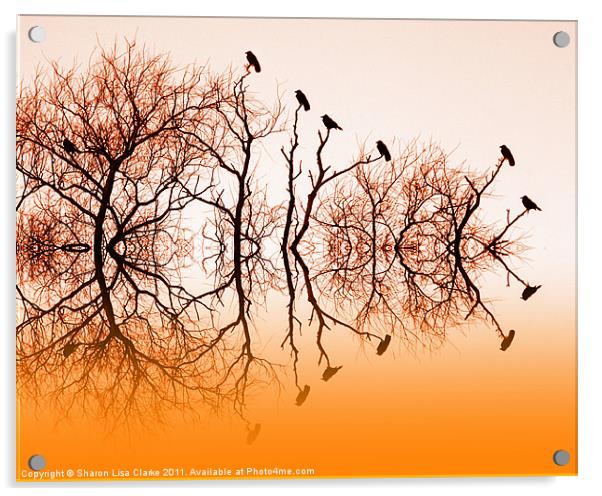 Birds of a feather Acrylic by Sharon Lisa Clarke