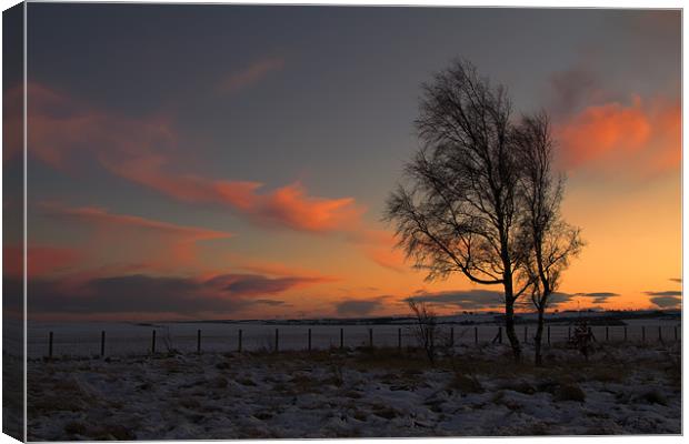 wintry sunset Canvas Print by Northeast Images