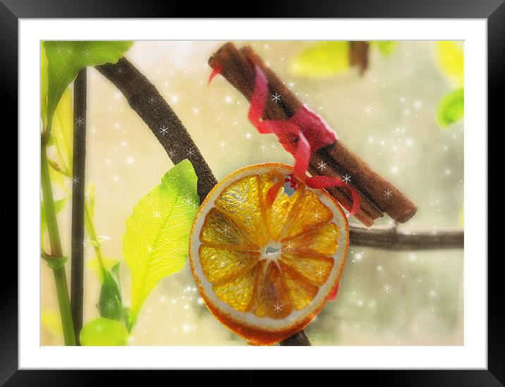 Cinnamon and Spice ..and everthing nice... misc  Framed Mounted Print by Elaine Manley