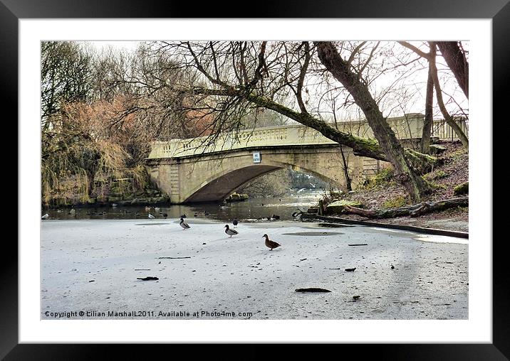 Frozen Boating Lake . Framed Mounted Print by Lilian Marshall