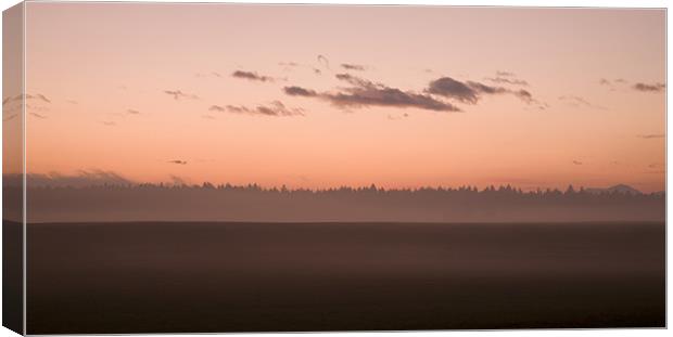 Misty fields at sunset Canvas Print by Ian Middleton