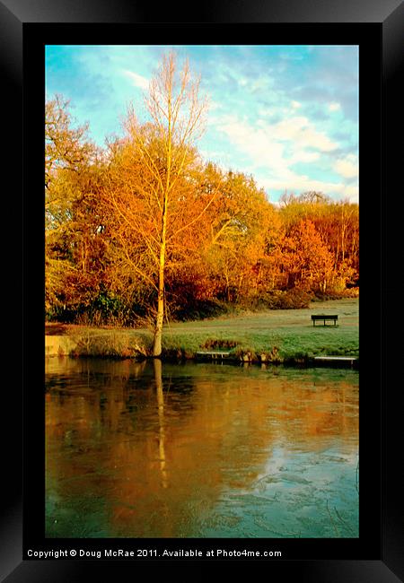 Winter sun Framed Print by Doug McRae