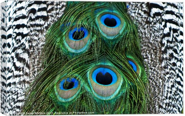 Peacock Feather Abstract Canvas Print by Derek Whitton