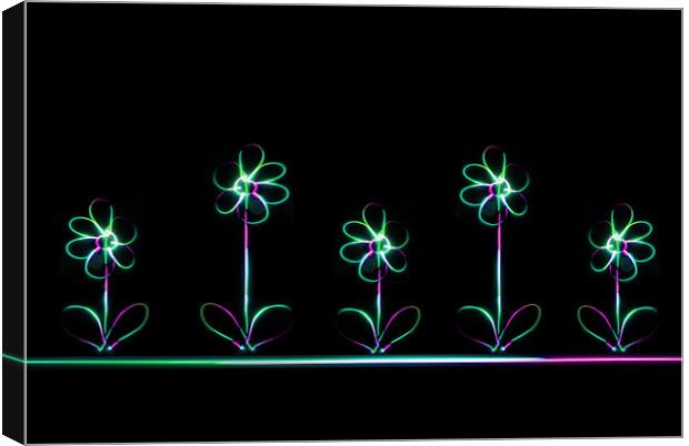 Neon Flowers Canvas Print by Rachael Hood