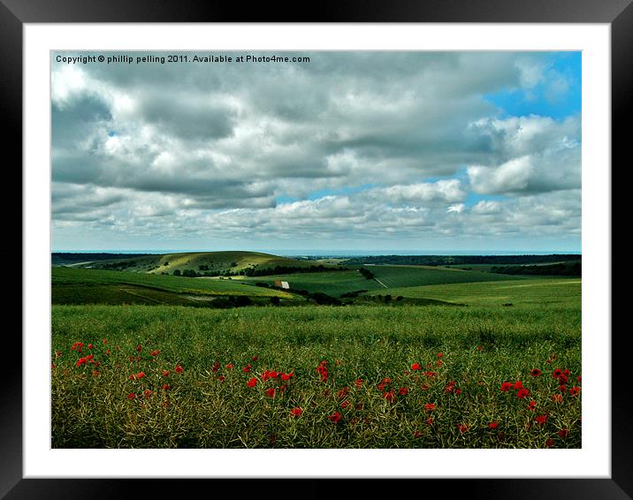 Poppy view. Framed Mounted Print by camera man