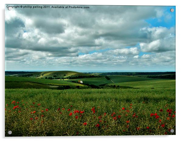 Poppy view. Acrylic by camera man