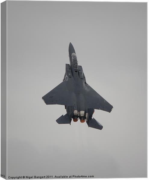 USAF F-15E Strike Eagle Canvas Print by Nigel Bangert