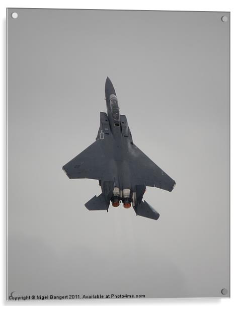 USAF F-15E Strike Eagle Acrylic by Nigel Bangert