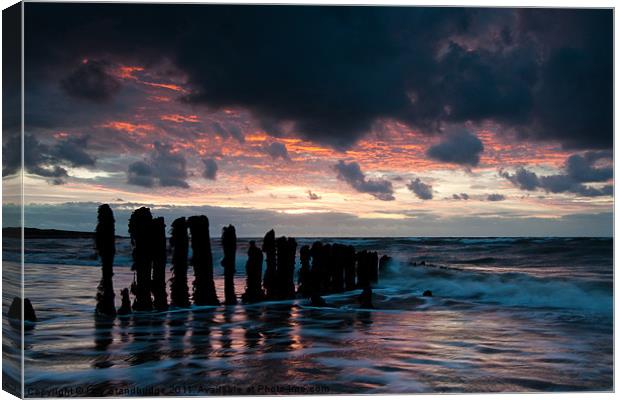 Ancient posts in glossy water Canvas Print by Izzy Standbridge