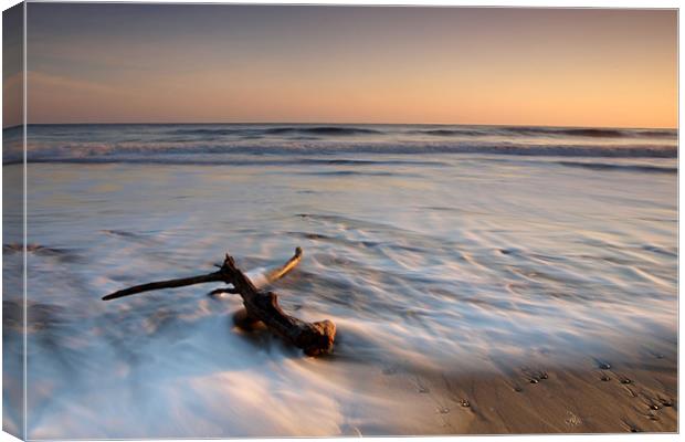 Washed Up Canvas Print by Ray Pritchard