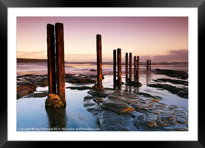 Old Wooden Posts Framed Mounted Print by Ray Pritchard