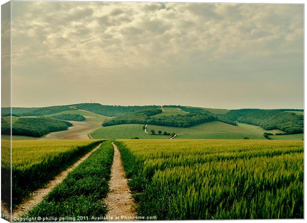 South Downs Way West Sussex Canvas Print by camera man