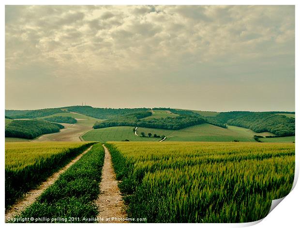 South Downs Way West Sussex Print by camera man