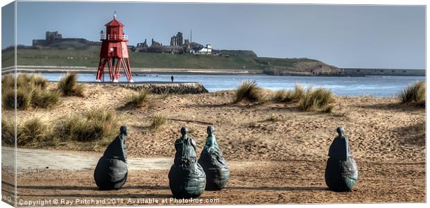 South Shields Groyne Canvas Print by Ray Pritchard