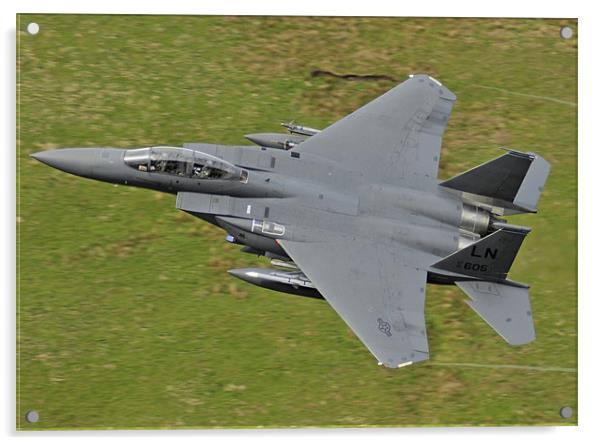 F-15E Strike Eagle Acrylic by Alex Lovell