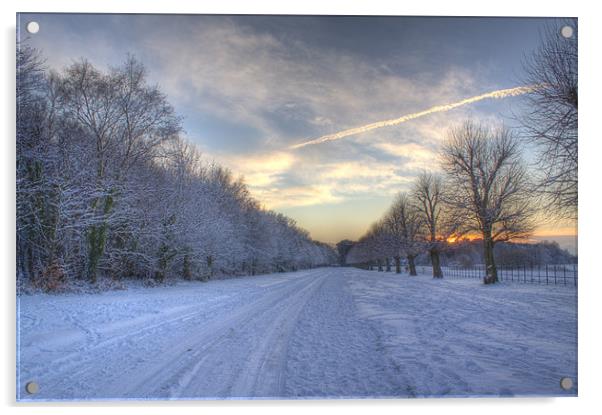 A Snowy Day Acrylic by allen dutton