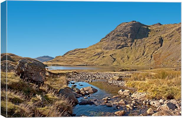 Stickle Tarn Canvas Print by Roger Green