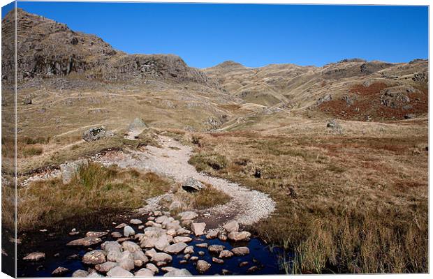 Pathway to Pavey Ark Canvas Print by Roger Green