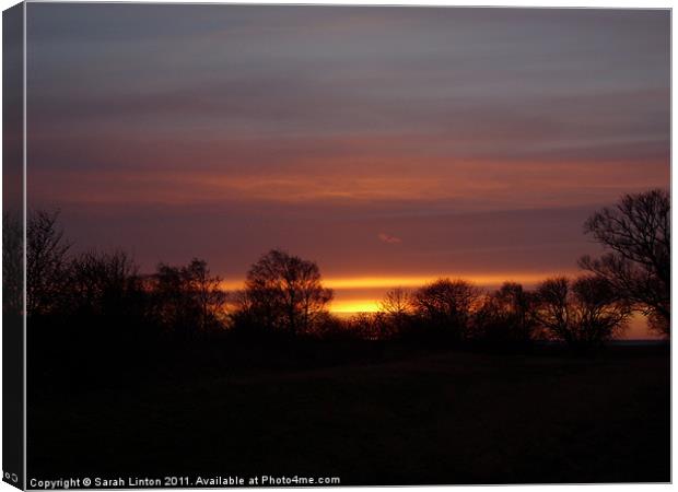 December Sunset Canvas Print by Sarah Osterman