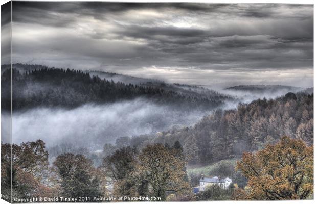 Mist Over The Forest Canvas Print by David Tinsley