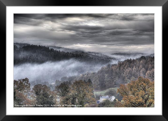 Mist Over The Forest Framed Mounted Print by David Tinsley