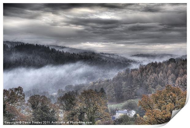 Mist Over The Forest Print by David Tinsley