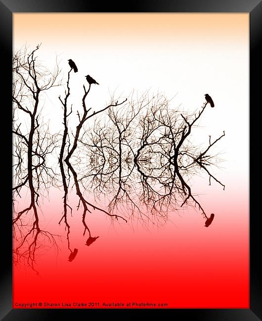 Red roost Framed Print by Sharon Lisa Clarke