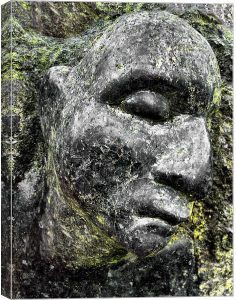 rock face Canvas Print by Heather Newton