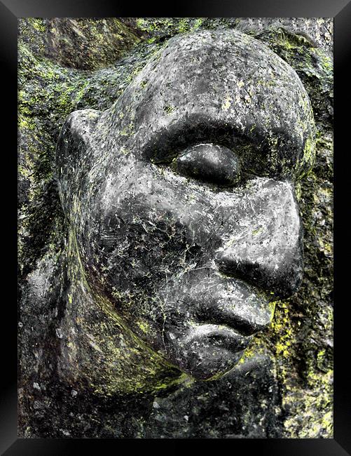 rock face Framed Print by Heather Newton