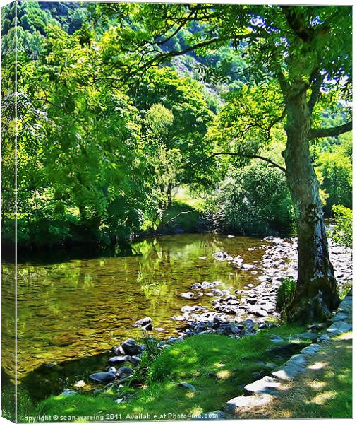 Quiet stream Canvas Print by Sean Wareing