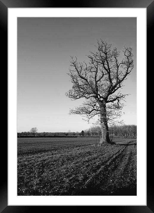 Wintery Tree Framed Mounted Print by Karen Martin