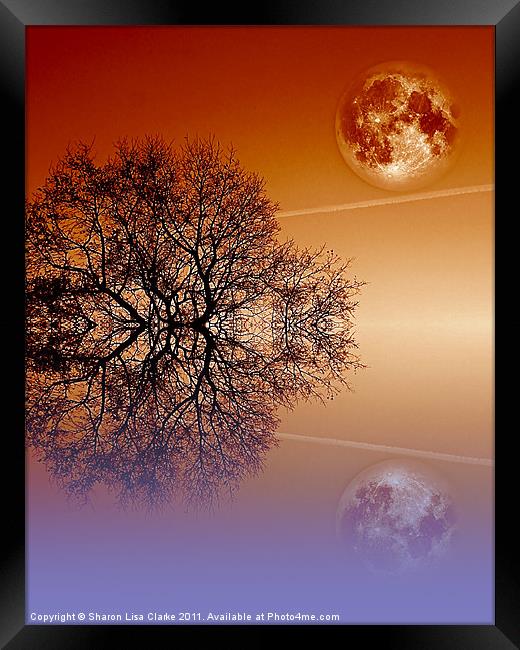 Moonlit tree Framed Print by Sharon Lisa Clarke