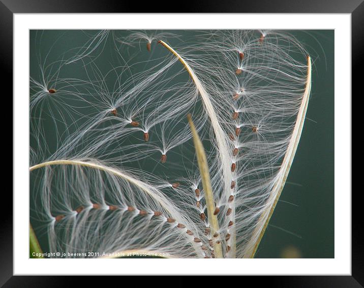 taking off Framed Mounted Print by Jo Beerens