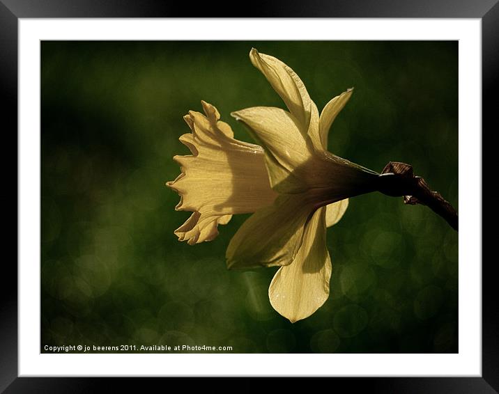 greeting the sun Framed Mounted Print by Jo Beerens