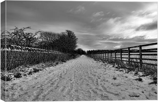 snowy path Canvas Print by Northeast Images