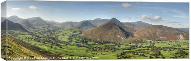 Newlands Valley Canvas Print by Ray Pritchard