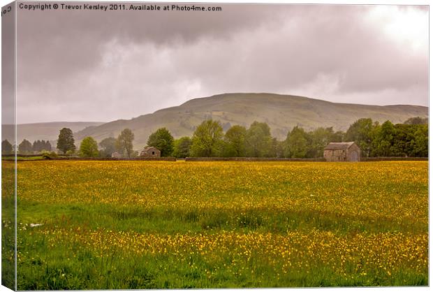 Hay Meadow - Yorkshire Dales Canvas Print by Trevor Kersley RIP