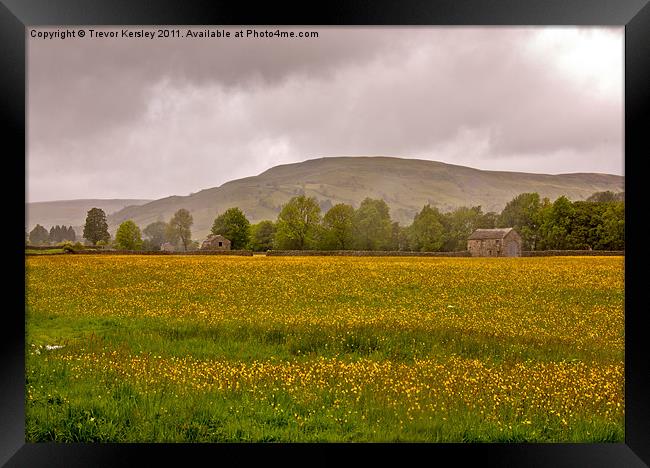 Hay Meadow - Yorkshire Dales Framed Print by Trevor Kersley RIP