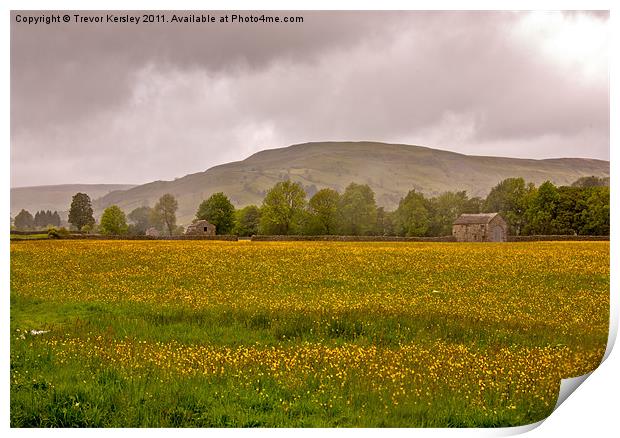 Hay Meadow - Yorkshire Dales Print by Trevor Kersley RIP