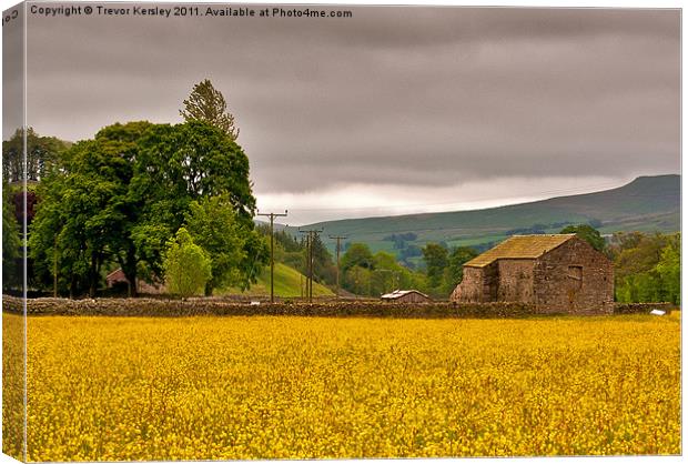 Hay Meadow - Yorkshire Dales Canvas Print by Trevor Kersley RIP