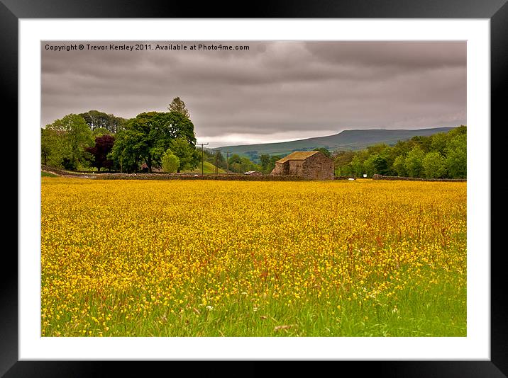 Hay Meadow - Yorkshire Dales Framed Mounted Print by Trevor Kersley RIP