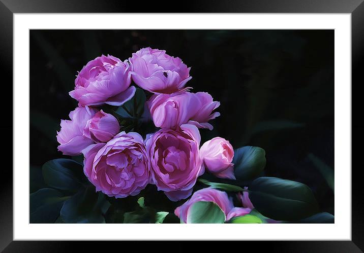  Pimk Rose Cluster flower Framed Mounted Print by Elaine Manley