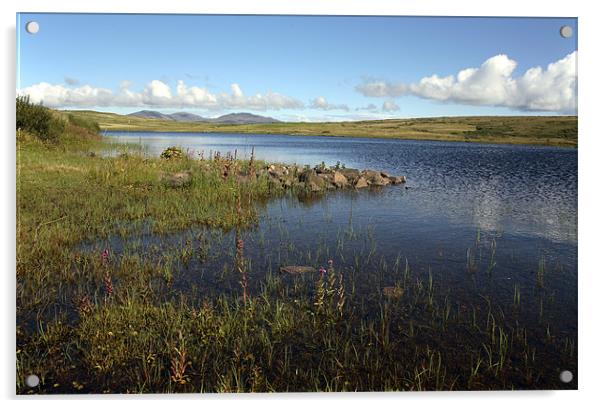 Islay Loch Finlaggan Acrylic by david harding