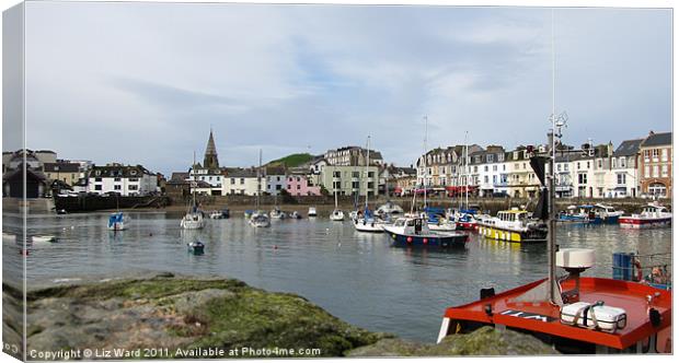Ilfracombe Harbour Canvas Print by Liz Ward